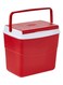 Keep Cold Plastic Picnic Cooler Icebox Lunchbox 20 Liters Red