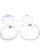 Home Products Essentials 5 Pack Microwave Plate Covers with Adjustable Steam Vents - Microwave Splatter Covers - Mixed Sizes for Large &amp; Small Food Plates Bowls BPA Free