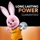 Duracell - Cr2032 3V Lithium Coin Dl2032 / Cr2032 Button Batteries Regular - Pack Of 2 - 10 Years Shelf Life