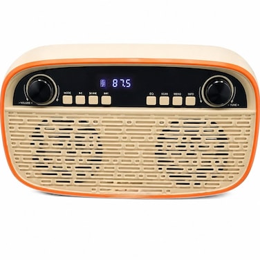 Portable 20W Bluetooth Speaker with Wireless Mic, FM Radio, USB, TF Card &amp; Remote Control