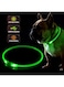 Fashion&amp;cool LED Dog Collar, USB Rechargeable Flashing Light Up Collar for Safety at Night, Adjustable Water Resistant Bright Lighted Collar for Small Medium Large Dogs 65cm Neon Green FCLED-001-03-00