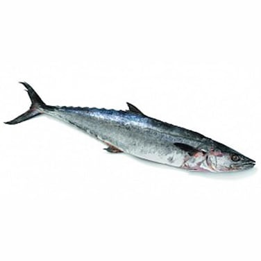 Fresh King Fish Small
