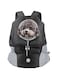 NC Dog Backpack, Puppy Backpack, Pet Carrier Backpack Small Dog Backpack Carrier Pet Travel Carrier Dog Front Carrier with Breathable Head Out Design and Padded Shoulder for Hiking (Large, Black)