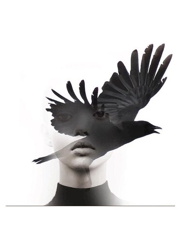 Woman And Bird Themed Wall Art Black/White/Grey 30x30cm