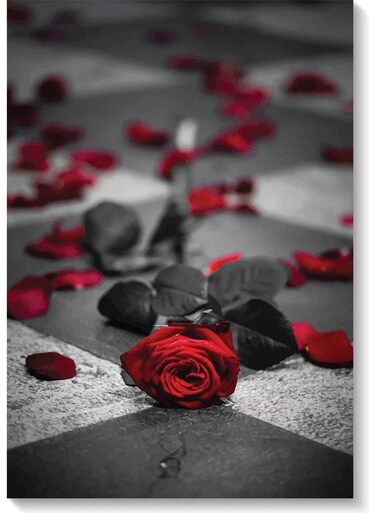 Red Rose Wall Art Multicolour 40x60cm