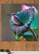 Hummingbird Themed Wall Art Purple/Green/Blue