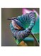 Hummingbird Themed Wall Art Purple/Green/Blue