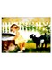 Printed Decorative Wall Art Plate Multicolour 20cm