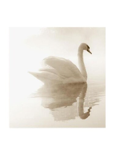 White Duck MDF Wall Art Multicolour 30x30cm