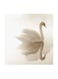 White Duck MDF Wall Art Multicolour 30x30cm