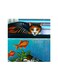 Cat On Aquarium Mdf Wall Art Multicolour 30x30cm