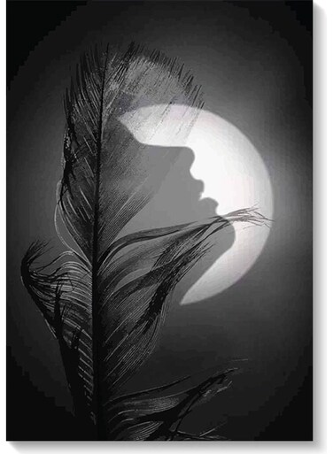 Woman And Moon Wall Art Black/White 40x60cm
