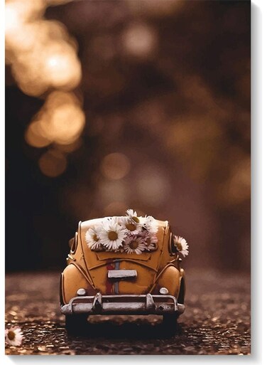 Car Wall Art multicolour 40x60cm