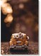Car Wall Art multicolour 40x60cm