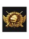 PUBG MDF Wall Art Multicolour 30x30centimeter