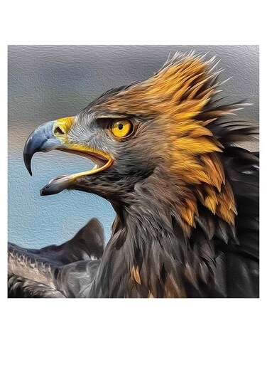 Eagle Themed Wall Art Black/Yellow/Blue 30x30cm