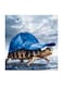 Funny Tortoise Wearing Hat MDF Wall Art Multicolour 30x30centimeter