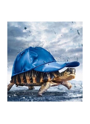 Funny Tortoise Wearing Hat MDF Wall Art Multicolour 30x30centimeter