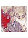 Mohamed Hamaki MDF Wall Art Multicolour