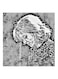 Fairuz MDF Wall Art Black/White