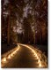 Road And Lights Wall Art Multicolour 40x60cm