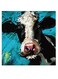Cow Themed Wall Art Blue/White/Black 30x30cm