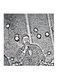 Mohamed Hamaki Wall Art Black/White 30x30centimeter
