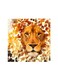 Lion Mdf Wall Art Multicolour 30x30centimeter