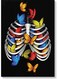 Butterflies Wall Art Painting Multicolour 40x60cm