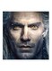 The Witcher MDF Wall Art Painting Multicolour 30x30centimeter