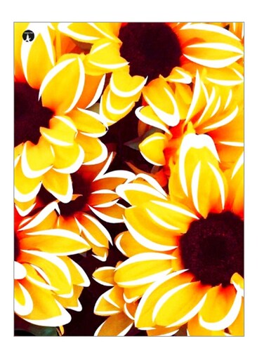 Printed Decorative Wall Art Plate Yellow/Brown/Red 20cm