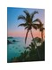 Palm Printed Framed Canvas Wall Art Blue/Green/Red 60x80centimeter