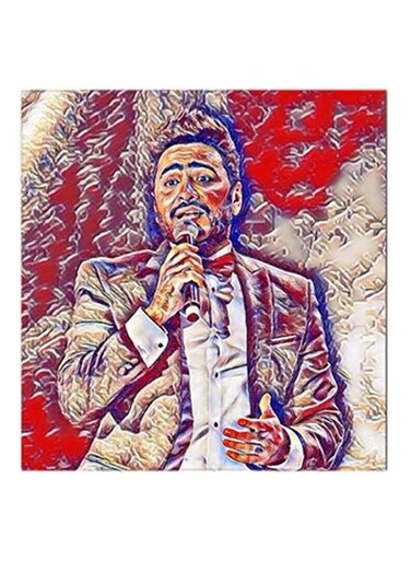 Tamer Hosny MDF Wall Art Multicolour