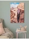 Petra Jordan Wall Art Multicolour 40x60cm