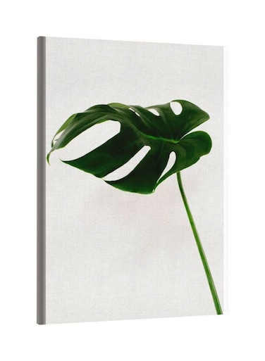 Plant Leaf Printed Framed Canvas Wall Art White/Green 60x80centimeter