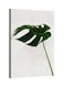 Plant Leaf Printed Framed Canvas Wall Art White/Green 60x80centimeter