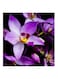 Purple Flowers MDF Wall Art Multicolour