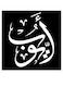 Ayoub Wall Art Black/White 30x30cm