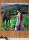 Woman And Horse Printed Wall Art Green/Brown/Blue 30x30cm