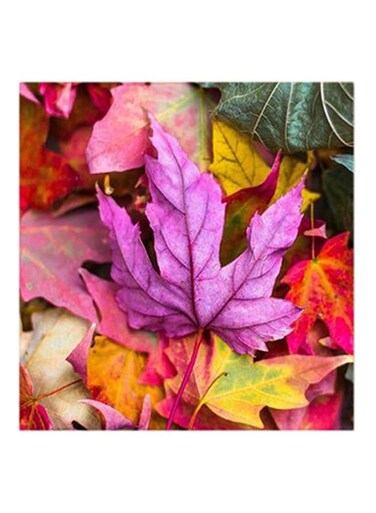 Colorful Leaves MDF Wall Art Multicolour