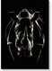 Rhino Wall Art Multicolour 40x60cm