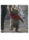 Ted Movie Themed Wall Art Beige/Grey/Black 30x30cm