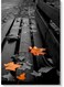 Autumn Wall Art Multicolour 40x60cm