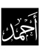 Ahmed Printed Wall Art Black/White 30x30cm