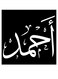 Ahmed Printed Wall Art Black/White 30x30cm