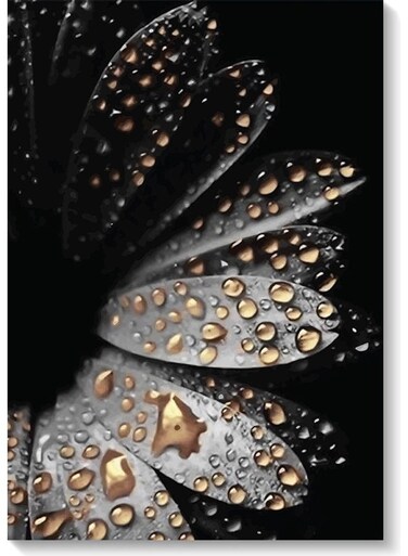 Dew Drops Wall Art Multicolour 40x60cm