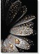 Dew Drops Wall Art Multicolour 40x60cm