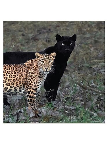 Leopard And Jaguar Themed Wall Art Green/Black/Yellow 30x30cm