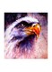 Abstract Eagle MDF Wall Art Multicolour 30x30cm