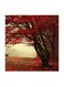 Nature Red Tree MDF Wall Art Multicolour 30x30cm